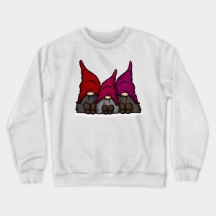 Tomte Time Crewneck Sweatshirt